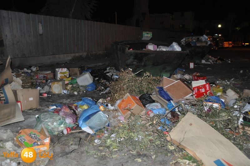 trash lud 907 (43).JPG